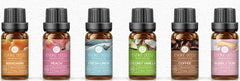 Evoke Occu Scented Candle Essential Oil 10Ml Fragrance Oil Fragrance Oil Diffuser Essential Oil - ProTrendyz