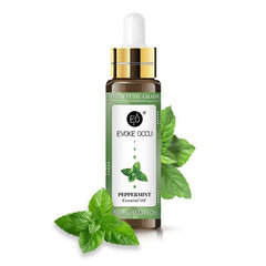 Rose Lavender Aromatherapy Essential Oil With Dropper 10ml - ProTrendyz
