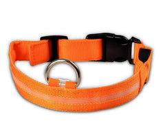 Nylon LED Pet Dog Luminous Collar Night Safety Flashing Glow in Dark Dog Cat Leash Adjustable Pet Supplies - ProTrendyz
