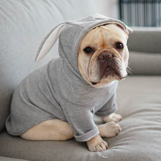 Dog Pet Clothes Spring And Autumn Clothing - ProTrendyz