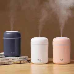 Usb Home Mini Silent Bedroom Large Fog Volume Desk Surface Atomizer Humidifier Dry Nose - ProTrendyz