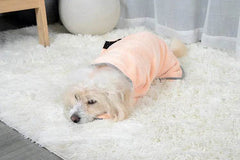 Quick-drying Pet Absorbent Towel Dog Bathrobe Pet Dog Bath Towel For Dogs Cats Microfiber Absorbent Pet Drying Towel Pet Supplies Pet Products - ProTrendyz
