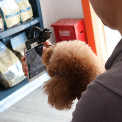 Pet Selfie Stick Pet Supplies Toys Pet Selfie Artifact - ProTrendyz