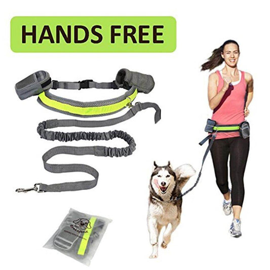 Adjustable Hands Free Dog Leash - ProTrendyz