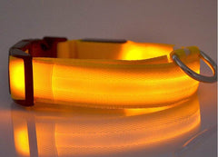 Nylon LED Pet Dog Luminous Collar Night Safety Flashing Glow in Dark Dog Cat Leash Adjustable Pet Supplies - ProTrendyz