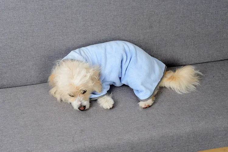 Quick-drying Pet Absorbent Towel Dog Bathrobe Pet Dog Bath Towel For Dogs Cats Microfiber Absorbent Pet Drying Towel Pet Supplies Pet Products - ProTrendyz