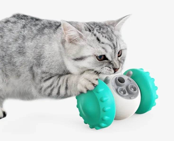 Cat And Dog Toys Slow Food Interactive Balance Car Multifunctional Fun Development Smart Pet Feeding Dog Toy Car Pets Products - ProTrendyz