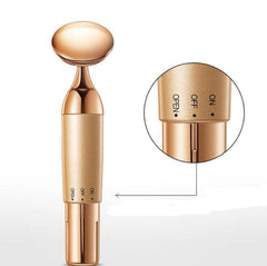 Beauty Equipment Home Electric Facial Importer - ProTrendyz