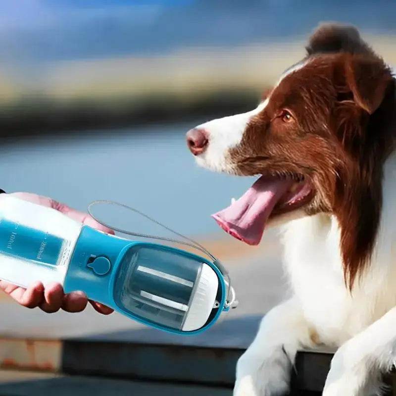 Dog Water Cup Drinking Food Garbage Bag Three-in-one Portable Small Multi-functional Pet Cups Pets Supplies - ProTrendyz
