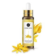 Rose Lavender Aromatherapy Essential Oil With Dropper 10ml - ProTrendyz