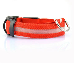 Nylon LED Pet Dog Luminous Collar Night Safety Flashing Glow in Dark Dog Cat Leash Adjustable Pet Supplies - ProTrendyz