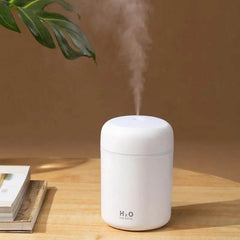 Usb Home Mini Silent Bedroom Large Fog Volume Desk Surface Atomizer Humidifier Dry Nose - ProTrendyz