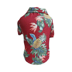Dog Spring And Summer Thin Shirt Corgi Blue Cat Clothes - ProTrendyz