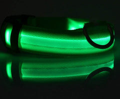Nylon LED Pet Dog Luminous Collar Night Safety Flashing Glow in Dark Dog Cat Leash Adjustable Pet Supplies - ProTrendyz