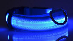 Nylon LED Pet Dog Luminous Collar Night Safety Flashing Glow in Dark Dog Cat Leash Adjustable Pet Supplies - ProTrendyz