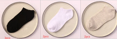 7cf7ff31a7b167103098c20bb764146e