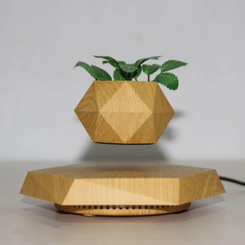 Floating Magnetic Levitating Flower Pot Bonsai Air Plant Pot Planter Potted For Home Office Desk Decor Creative Gift - ProTrendyz