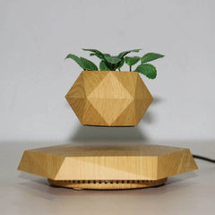 Floating Magnetic Levitating Flower Pot Bonsai Air Plant Pot Planter Potted For Home Office Desk Decor Creative Gift - ProTrendyz