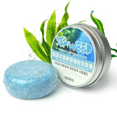 Ginger Skin Care Shampoo Conditioner Essential Oil Soap Nourishing - ProTrendyz