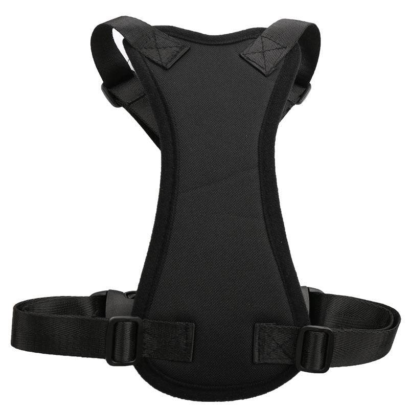 Car seat belts for pets - ProTrendyz