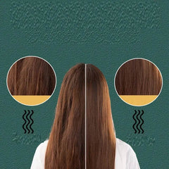 Anion Hair Care Electric Hair Curlers Hair Comb Straightener - ProTrendyz
