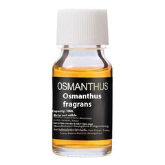 Car Perfume 10ml Replenisher Perfume - ProTrendyz