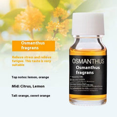 Car Perfume 10ml Replenisher Perfume - ProTrendyz