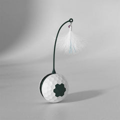 Enjoying Electric Intelligent Bite Resistant Cat Toys Pet Products - ProTrendyz