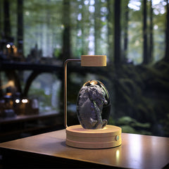 Crystal Ball Cosmic Dinosaur Indoor Night Light USB Power Warm Bedside Light Birthday Gift Night Lamp ProTrendyz