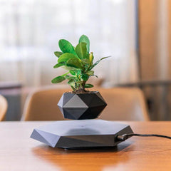 Floating Magnetic Levitating Flower Pot Bonsai Air Plant Pot Planter Potted For Home Office Desk Decor Creative Gift - ProTrendyz