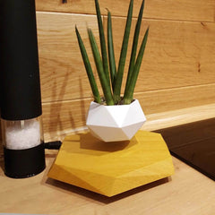 Floating Magnetic Levitating Flower Pot Bonsai Air Plant Pot Planter Potted For Home Office Desk Decor Creative Gift - ProTrendyz