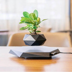 Floating Magnetic Levitating Flower Pot Bonsai Air Plant Pot Planter Potted For Home Office Desk Decor Creative Gift - ProTrendyz