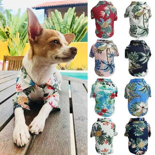 Dog Spring And Summer Thin Shirt Corgi Blue Cat Clothes - ProTrendyz
