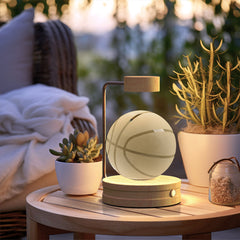Crystal Ball Cosmic Dinosaur Indoor Night Light USB Power Warm Bedside Light Birthday Gift Night Lamp ProTrendyz