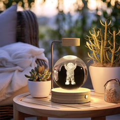 Crystal Ball Cosmic Dinosaur Indoor Night Light USB Power Warm Bedside Light Birthday Gift Night Lamp ProTrendyz