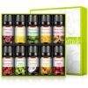 Evoke Occu Scented Candle Essential Oil 10Ml Fragrance Oil Fragrance Oil Diffuser Essential Oil - ProTrendyz