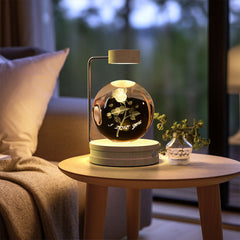 Crystal Ball Cosmic Dinosaur Indoor Night Light USB Power Warm Bedside Light Birthday Gift Night Lamp ProTrendyz