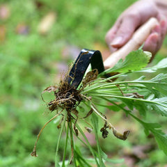 Garden Tool Weeding And Seedling Rooting Device - ProTrendyz