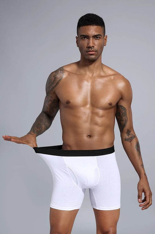 Boxershorts Men Cotton Boxers R Underwear Man Panties - ProTrendyz